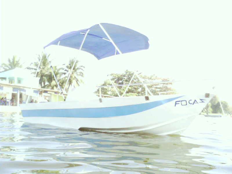 DSC0051