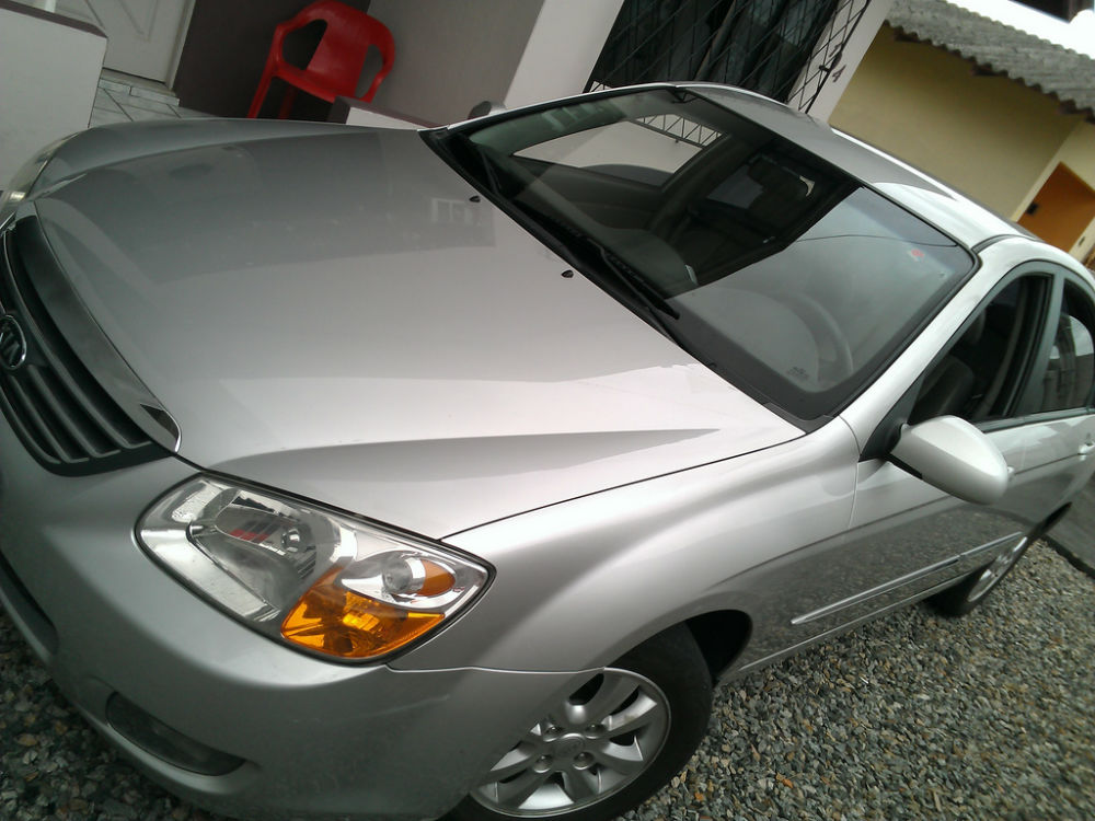 Cerato (5)