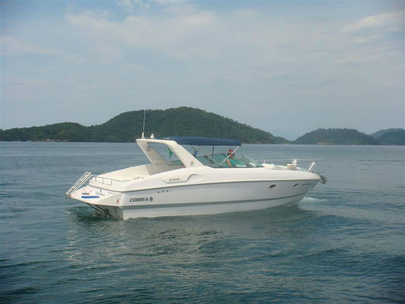 Cobra 29 (4)