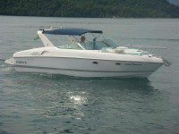 Cobra 29 (3)