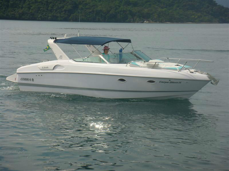 Cobra 29 (3)