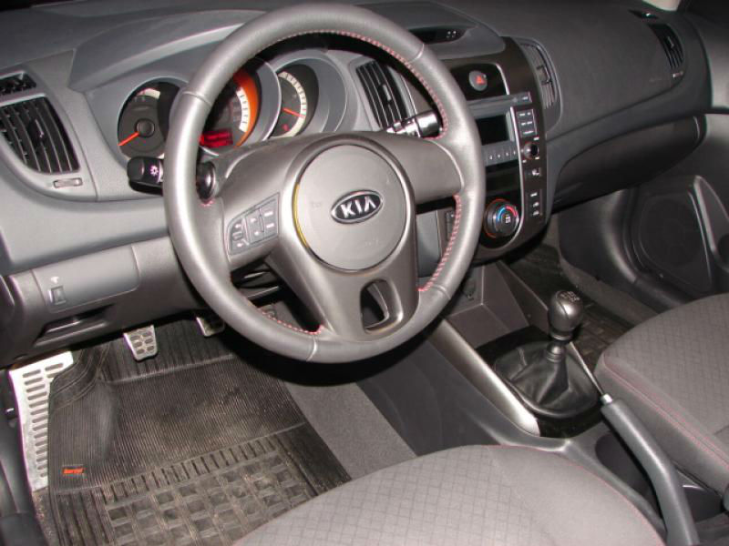 cerato prata 4