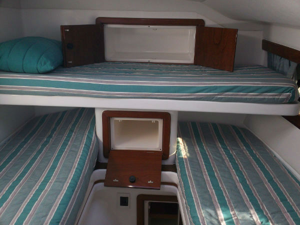 Mares 40 (05)