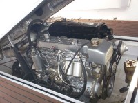 Rio Star 28 Open (2)