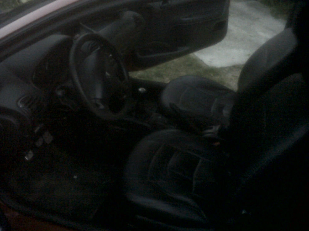 IMG00135-20130612-1731