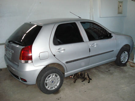 fiat+palio+elx+1+0+4+portas+2005+pitbull+rio+de+janeiro+rj+brasil__16E92B_1