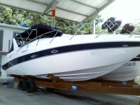 Runner 335 (03)
