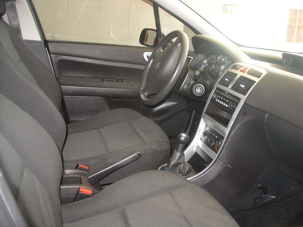 Peugeot 307 (04)