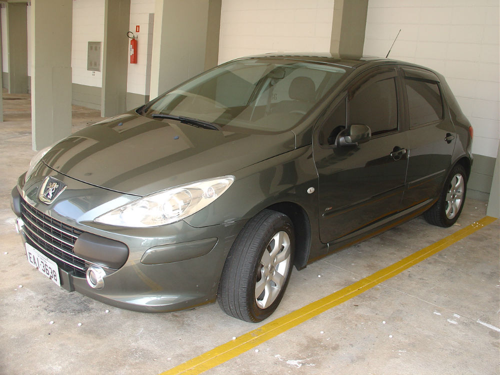 Peugeot 307 (01)