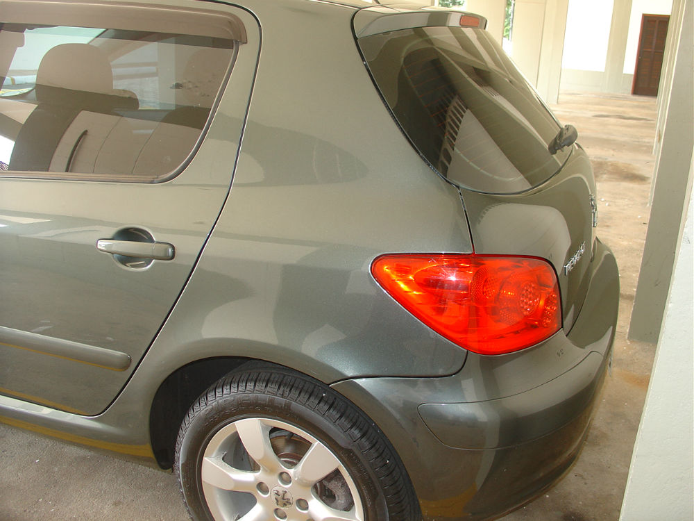 Peugeot 307 (08)