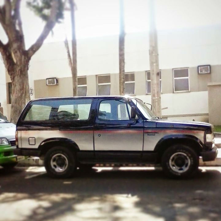 bonanza de luxo