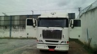 cavalo6