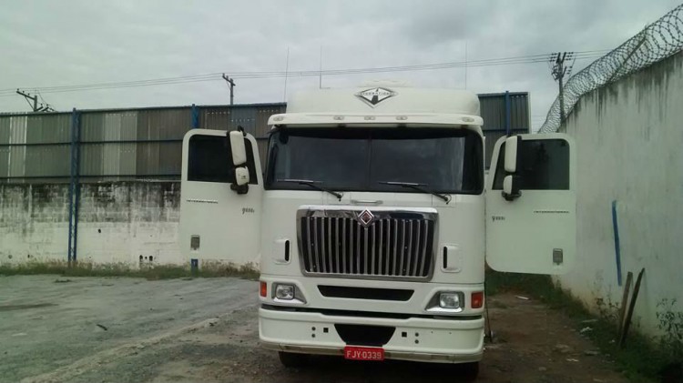 cavalo6