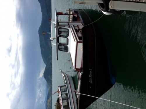IMG_2452 (2)