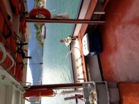 IMG_2458 (1)
