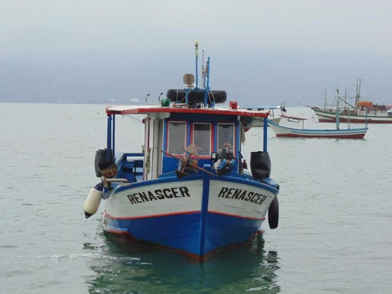 barco 5