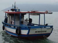barco 8