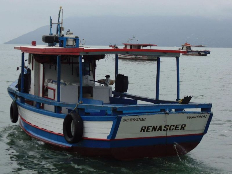 barco 8