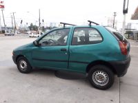 palio (12)