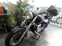 visão frontal
