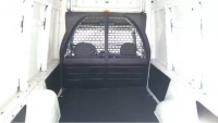 fiorino 6