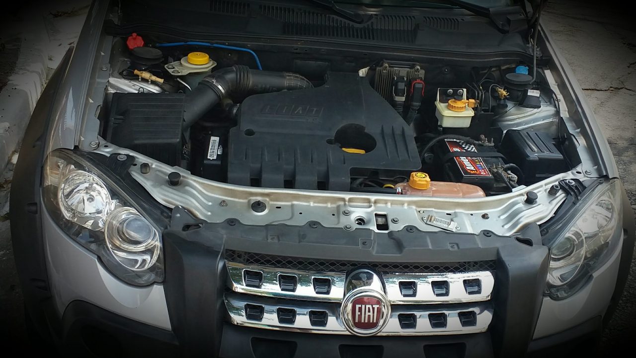 MOTOR