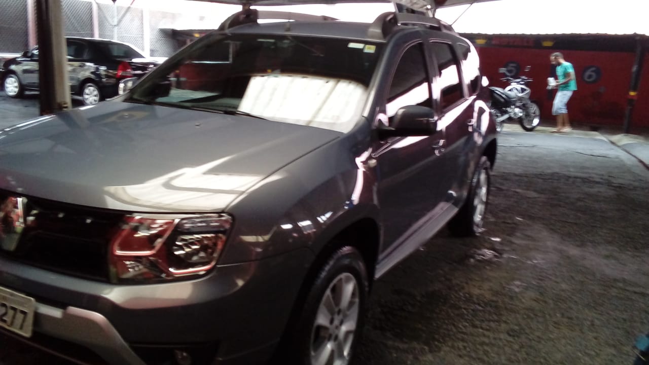 duster 1