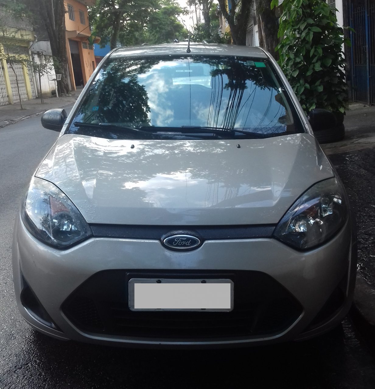 frente