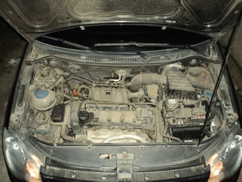 interna5