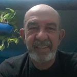 Avatar of NEWTON LAERTE DA SILVA