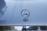 20191128190433__MG_6041