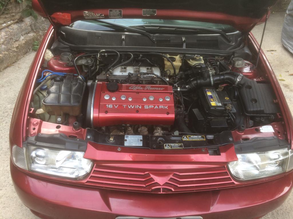 ALFA 17